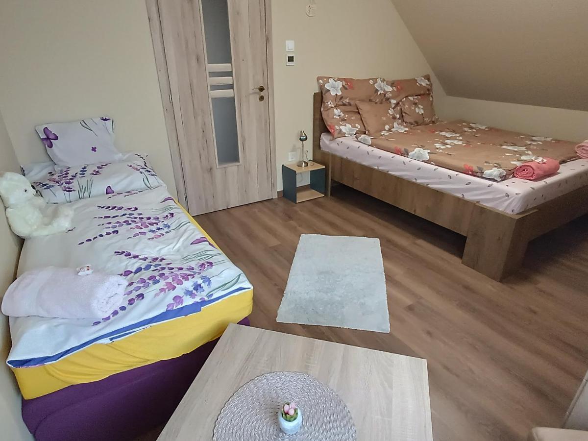Hotel Holt-Tisza Vendeghaz Szegedin Exterior foto